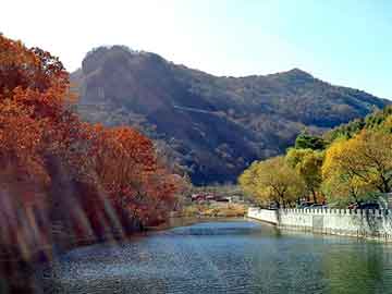 澳门天天彩期期精准平肖，一锤定音报名